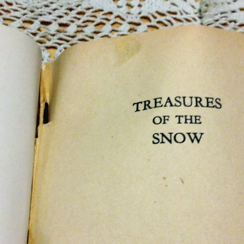 Vintage Treasures of the Snow